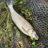 48mm Size Bait Floating Design Bionic Fishing Lure Swimbaits Hard Baits  Topwater Fishing