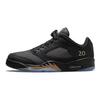 Air 5 Retro Low Wings Class of 2020-21