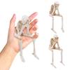 Halloween Skeleton Statues Resin No See No Hear No Speak Gothic Decor Evil Realistic Skull Decor Horror Desk for Office Decor
