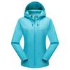 Men's Windproof Waterproof Spring/Autumn Jacket, Customizable Logo, Team Uniform