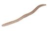 Jackall Soft Lure Flick Shake 4.8 Inches Suji Shrimp (4470)