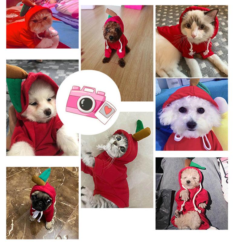 Cute Fruit Dog Clothes for Small Dogs Hoodies Warm Fleece Pet Clothing Puppy Cat Costume Coat for Chihuahua Jacket Suit