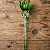 Mini Glass Flower Ornament Handmade Colored Glass Flower Miniature Collectible Tiny Flower Decoration for Table Centerpiece Bookshelves Micro