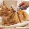 Double-Sided Pet Grooming Brush Professional Cat Cleaning Comb Dog Knot Opening Comb  Pet Massage