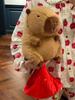 REDICE Capybara Plush Toy, Portable Stuffed Animal, Gentle On the Skin [Authentic] [2025 Softness Improved] Squishy Capybara Plush Toy, Soothing,