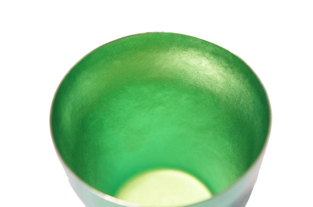 HORIE Gradation Titan Doppelwandbecher Rei Hana Titan 250cc Mori MORI Grün T15KM250G18 T15KM250G18