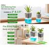 Small Self Watering Pots 12 Pieces Clear Hydroponic Cups With Drainage Holes Nursery Pots With Water Level Indicator For Living