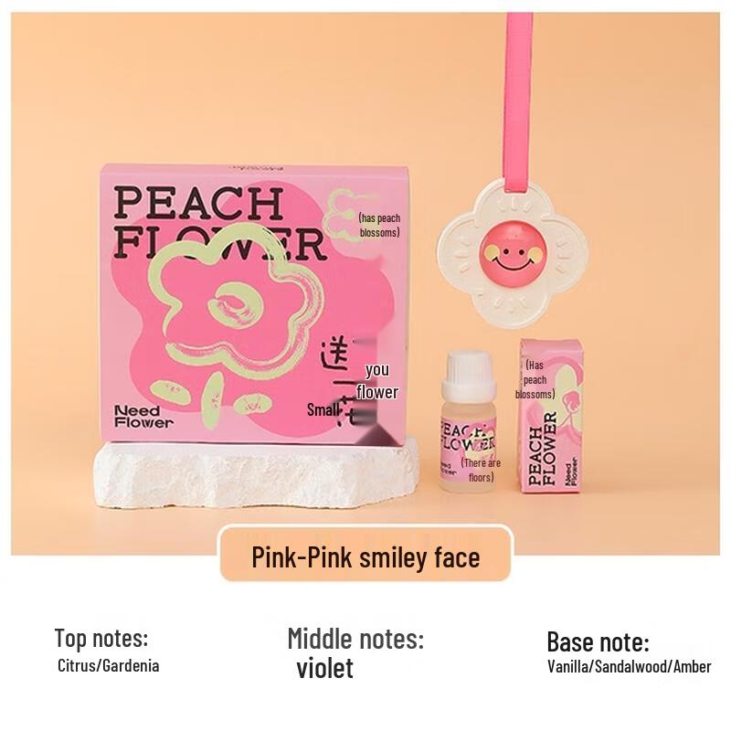 JINGRUIXIANG Scented Plaster Hanging Ornament Gift Set