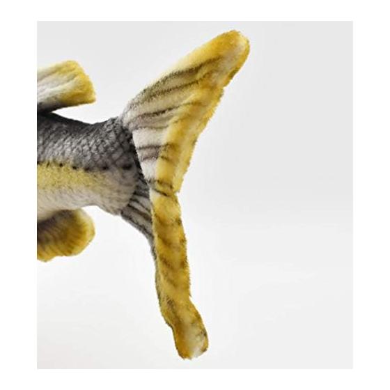 Seabass No6052