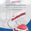 Taigui Medicine 5X Magnified Dental Training Model