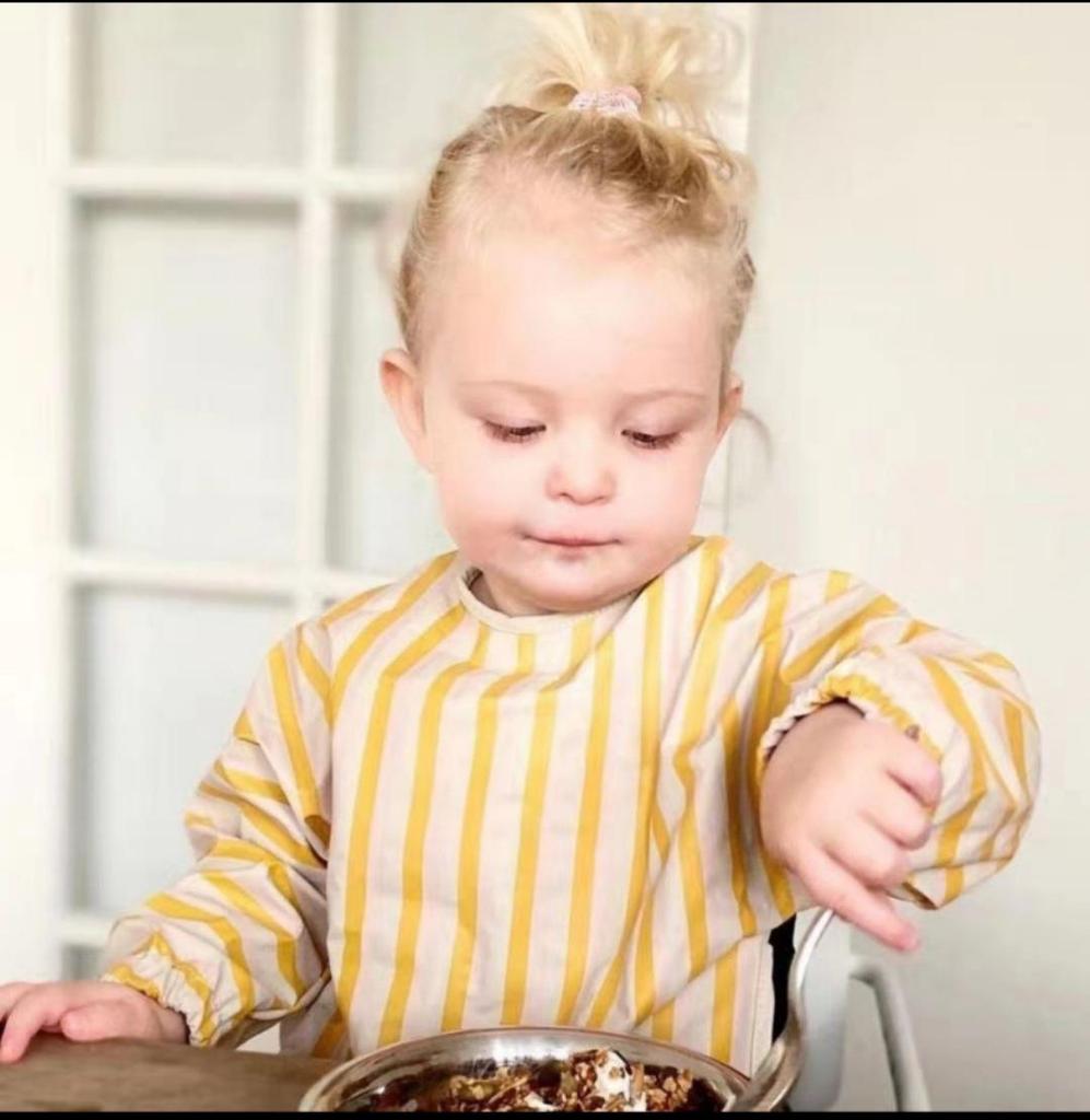 Waterproof Reversible Smock Bib for Babies - Super Soft, Food Catcher, Anti-Stain, Feeding Bib