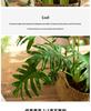 Nordic Green Artificial Plants: Dried Flower Ornaments for Home or Office Decor