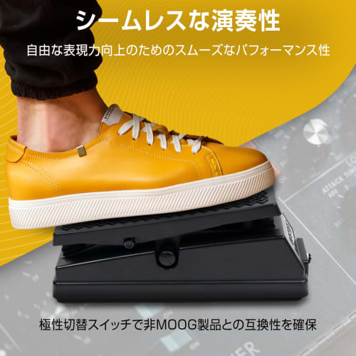 MOOG EP-3 Expression Pedal with Polarity Reverse Switch - Universal Expression Pedal for Keyboards, Synthesizers, and Effects