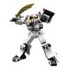 Gosei Sentai Dairanger SMP MODELING Wong Tiger [SHOKUGAN PROJECT]