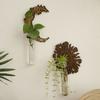 With Pipes Sun Moon Wall Planters Wall-Mounted Wall Hanging Holder Wooden Plant Fram  Kitchen