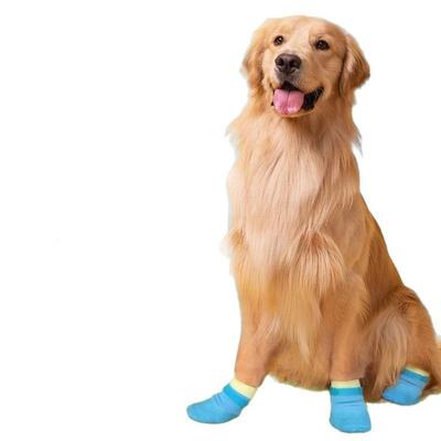 Roupa e sapatos – Sapatos para cães