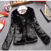 Autumn and winter women's fur coat imitation Rex rabbit hair short top fur integrated versatile European and American thin large size