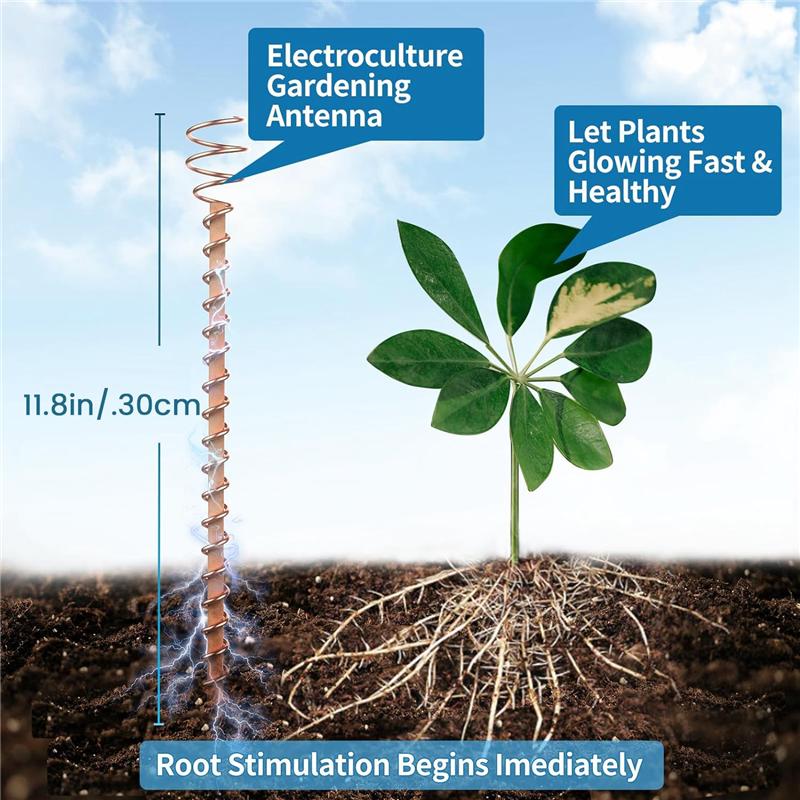 ABWR-Electroculture Plant Stakes Set 6Pcs 11.5Inch Long Electroculture Gardening Copper Coil Antennas For Growing Garden, Plants