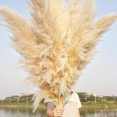 1/2/3/4/5Pcs Artificial Pampas Grass Bohemia Realistic Fluffy Fake Dried Grass Home Office Wedding Party Table Centerpiece Boho Decor