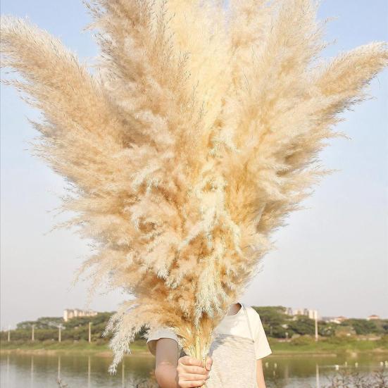 1/2/3/4/5 ks Umělá pampová tráva Bohemia Realistická Nadýchaná Falešná Sušená tráva Domov Kancelář Svatba Party Stolní dekorace Boho Dekor