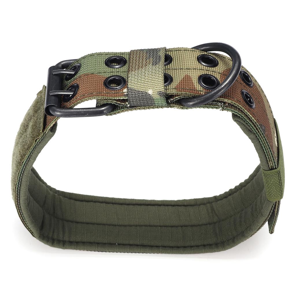 metal shock collar