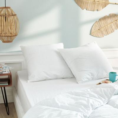 Set of 2 Pillows 60 X 60 Cm Blanrêve Range "Softness" Treated Anti Dust Mite Soft & Care