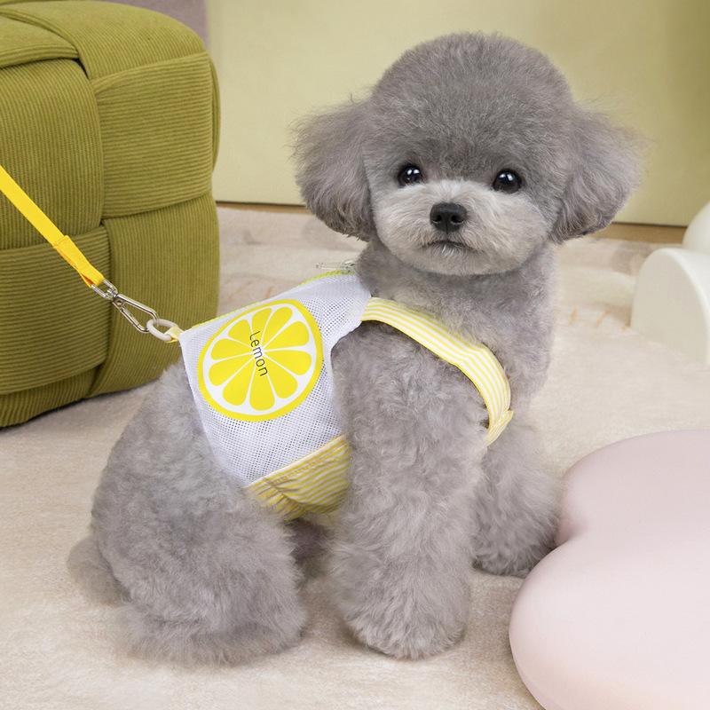 

Короткий питомец маленькая собака сетка собачья одежда жилет нагрудный ремень поводок весна и лето XXL жёлтый