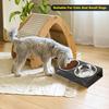 2 Pack Cat Food Bowls Indoor Set with Metal Stand5 Tilted Anti Vomiting Wide Raised Pet Dish Cute Elevated Cat Feeding Station