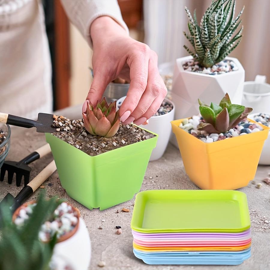 10Pcs Mini Square Flower Pots With Trays Drainage Holes Candy Colors For Succulents Plants Seedlings Home Decor Garden Jxb