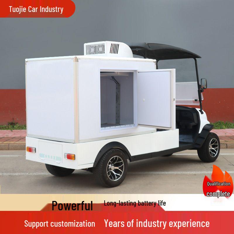 Electric Sightseeing and Delivery Van for Hotels and Campuses