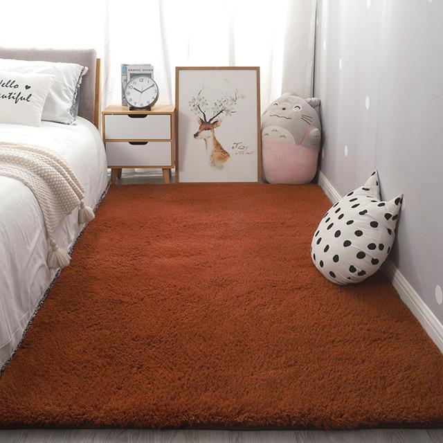 Modern Living Room Carpet Nursery With Fluffy Soft Carpets Teen Room Decor House Entrance Bathroom Bedroom Anti -Slip Doormats