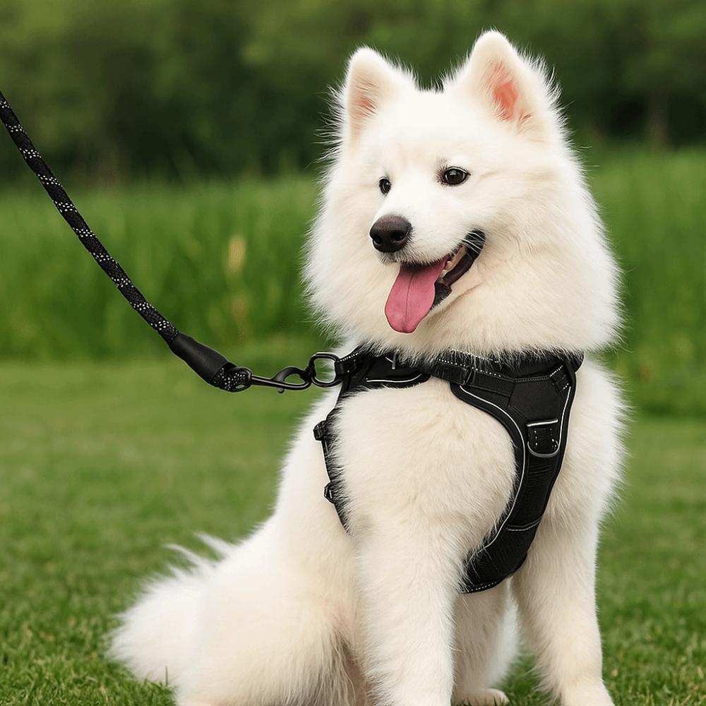 Adjustable Reflective Harness Soft Padded No-Pull Vest Easy Walking Pet Accessory  Large Dogs