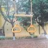Swing Set Trapeze Bars Playground Equipment Rings Bar Ergonomic Sensory Rings Game for Children Kids Adults Indoor Playtime