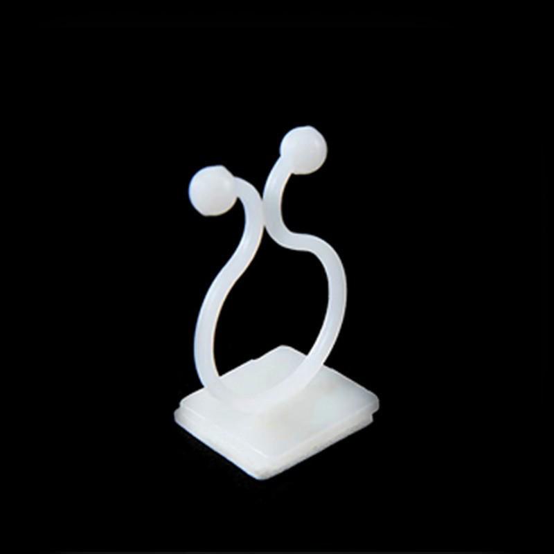 Pothos Wall Climbing Clips: Traceless Adhesive Hook Fixators for Green Plant Support