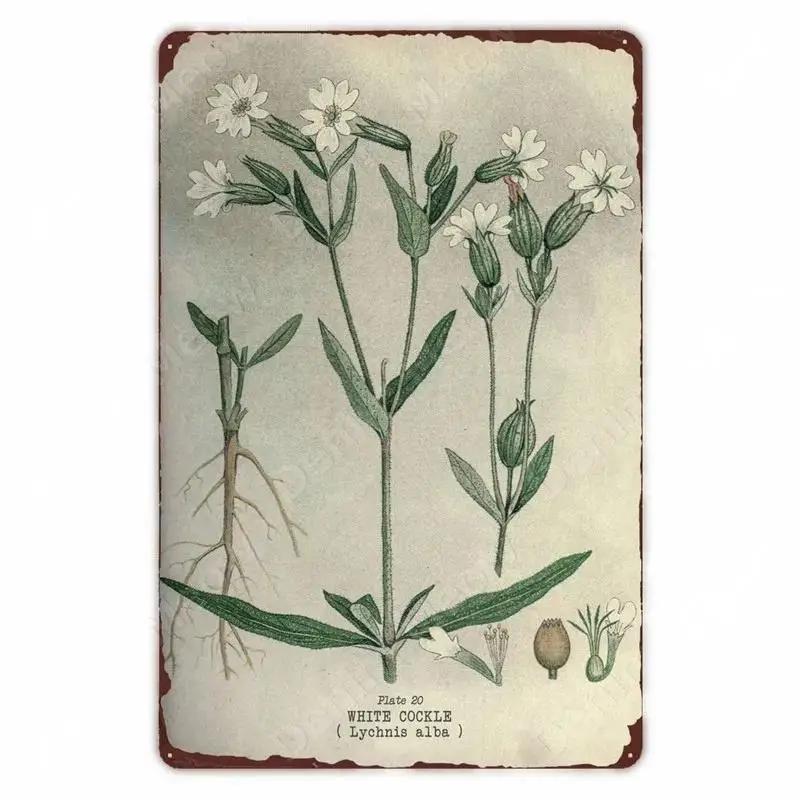 Retro Vegetable Plants Poster Vintage Fruits Metal Tin Sign Cauliflower Wall Art Sign Garden Kitchen Farm Flowers Plate Decor