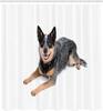 Australian Cattle Dog Shower Curtain Realistic Pet Photo Animal Lover Bathroom Decor Linen160X180
