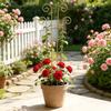 Verdickter Blumentopfhalter Schmetterlingsförmiger Pflanzenstützrahmen Balkongarten