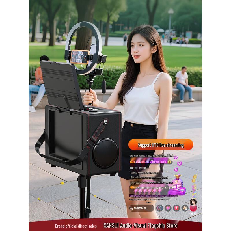 SANSUI Q62 Outdoor Portable Karaoke System
