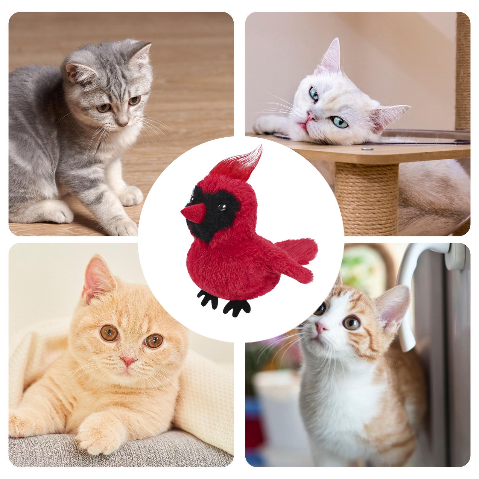 

Flapping Bird Cat Toy Cat Bird Toy Realistic Flapping Wings Electric Plush Doll For Rabbit Medium Large Breed Mental Stimulation CN