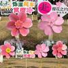 1x Pink Cherry Blossom Windmill Stake Standing Lawn Cherry Flower Pinwheel Rotating Peach Blossom Wind Spinner Garden Decoration