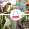 Bird Bath Bowl Flower Weatherproof 8 Inches Feeder Decorative Bird Baths For Lawn Backyard Patio Wildlife Outdoor Yard Balcony