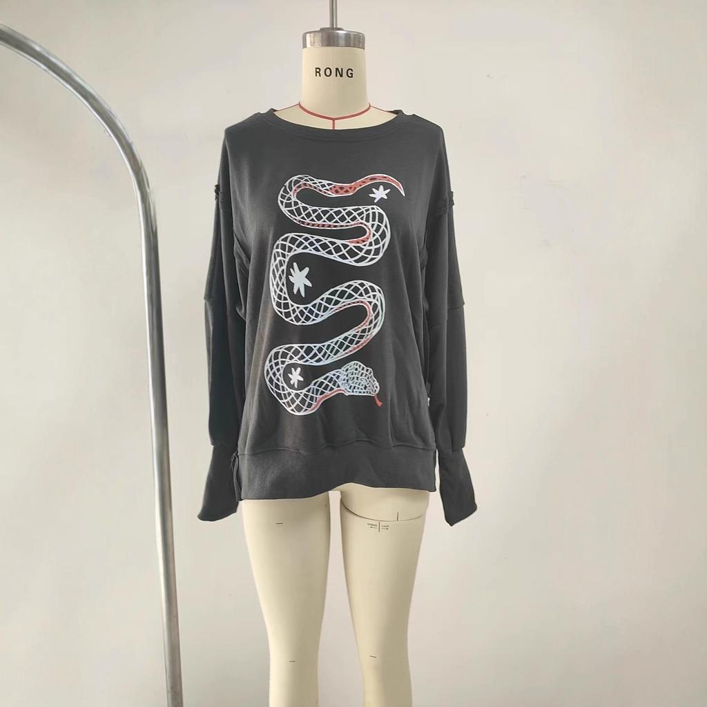 Women's Crew Neck Long Sleeve Loose Fit Graphic Sweatshirt Printed Pullover Streetwear Top
