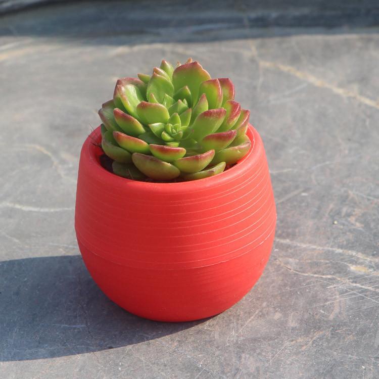 Sukkulenten-Blumentopf Mini Steinball Blumentopf Regenbogen-Topf PP Harz Kunststofftopf Pflanzentöpfe Dekorative Pflanzgefäße Töpfe für Pflanzen