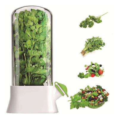 Buzdolabı için Kişniş Saklama Kutusu Herb Keeper Şeffaf Kapaklı Ayarlanabilir Havalandırmalı BPA İçermeyen Konserveler Sebze Tazelik Bitki Saklama Kabı