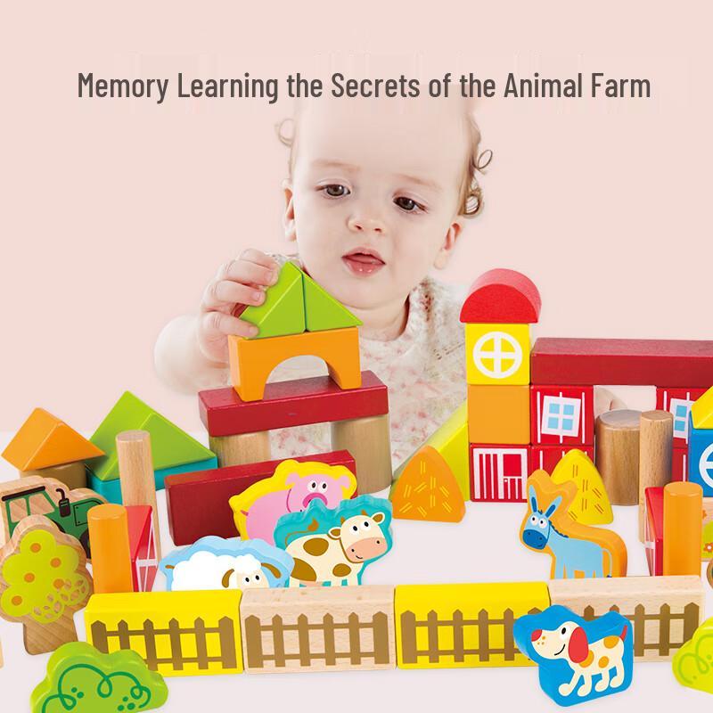 Hape Wooden Building Blocks Collection