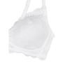 Barbara No Wire Lace Bra  Abr4808 