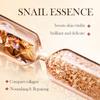 Anti-wrinkle and Anti-aging Capsule Essence Snail Rose Hydrating Essence Cream