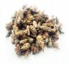 Pine Buds Whole 50 G 100% Natural Shop