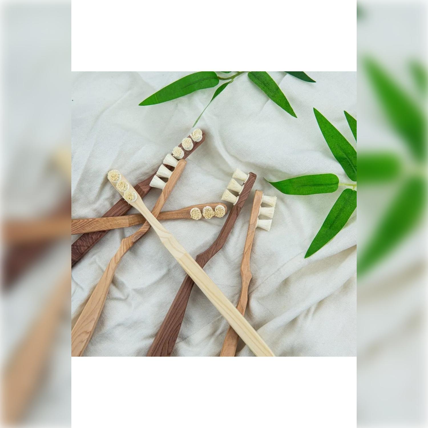 

Miswak-Head Toothbrush with 3 Replacement Heads – Natural & Organic Toothbrush