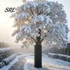 Tree Trunk Insulation Palm Protector, Aluminum Foil Wrap, Guard with Winter Bark Shield Drawstrings, Cover for Outdoor Garden Cold Weather Plant